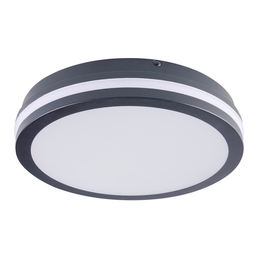 Plafonieră LED de exterior BENO LED/24W/230V 4000K antracit IP54