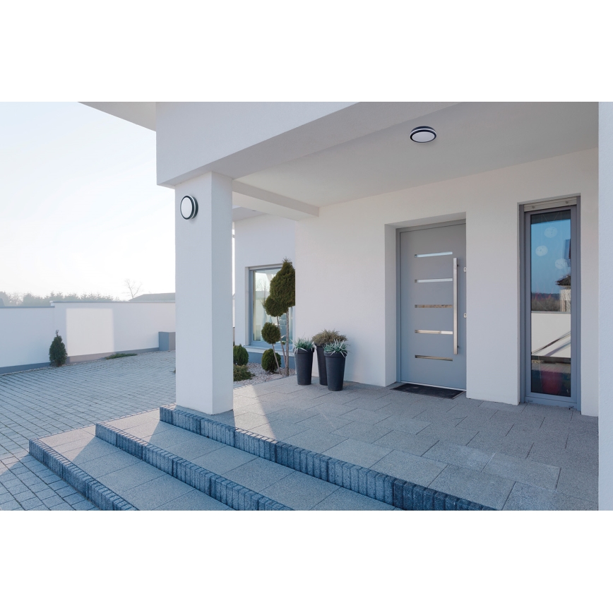 Plafonieră LED de exterior BENO LED/24W/230V 4000K antracit IP54