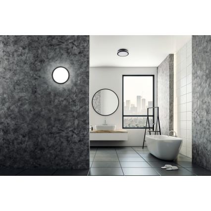 Plafonieră LED de exterior BENO LED/24W/230V 4000K antracit IP54