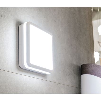 Plafonieră LED de exterior cu senzor de mișcare BENO LED/24/30W/230V 3000/3500/4000K IP65 alb pătrat