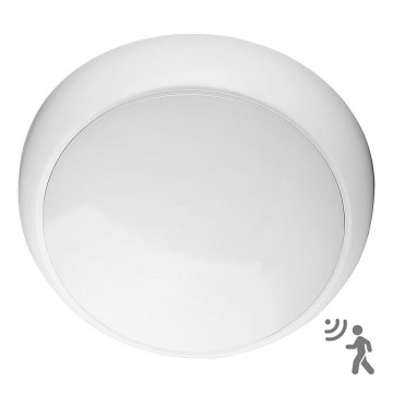 Plafonieră LED de exterior cu senzor LED/8W/16W/20W/230V IP65 3000/4000/6500K