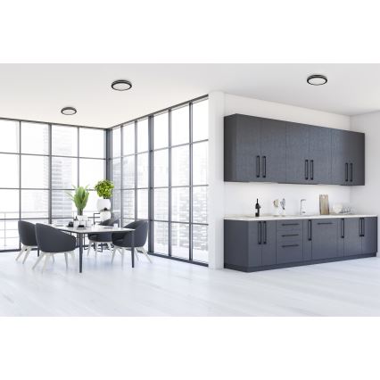 Plafonieră LED de exterior BENO E LED/30W/230V 3000/4000/6500K d. 30 cm IP65 negru