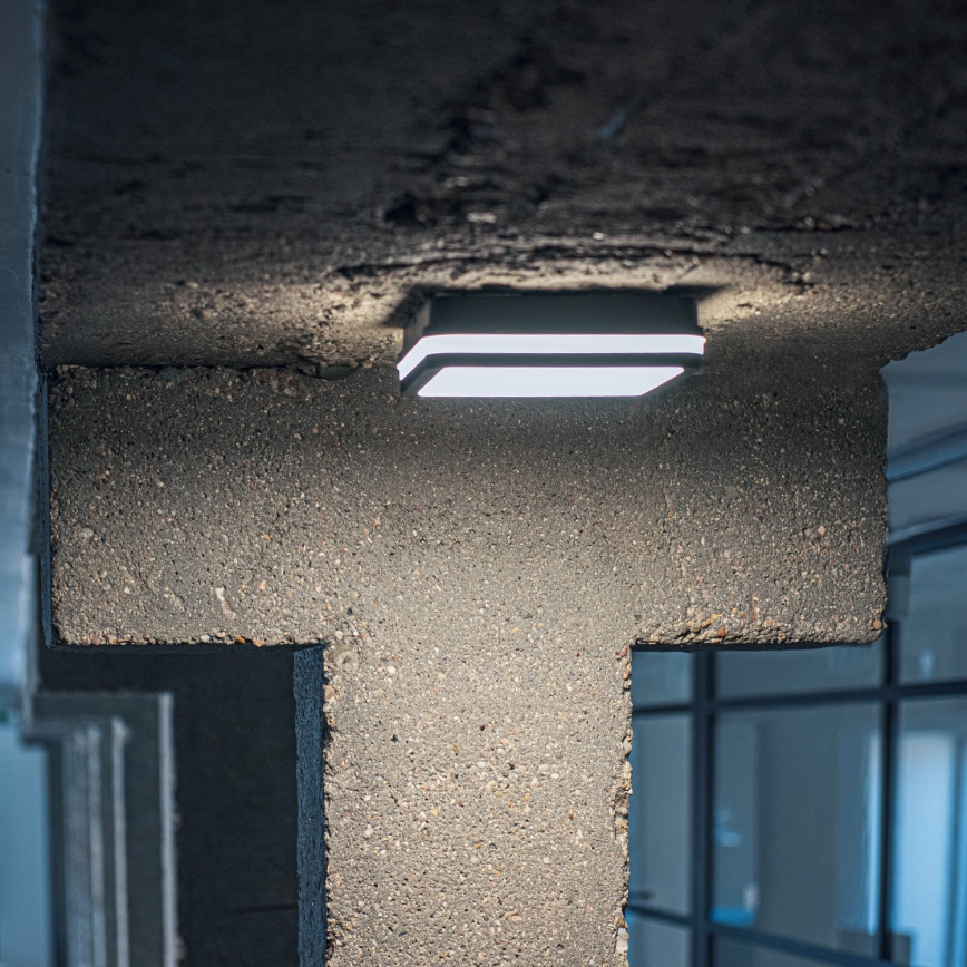 Plafonieră LED de exterior BENO LED/24/30W/230V 3000/3500/4000K IP65 antracit pătrat