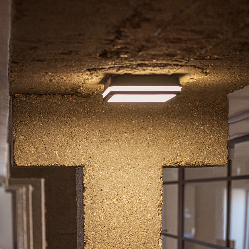 Plafonieră LED de exterior BENO LED/24/30W/230V 3000/3500/4000K IP65 antracit pătrat