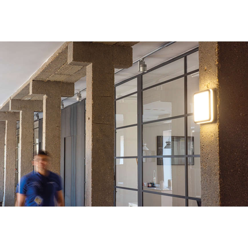 Plafonieră LED de exterior BENO LED/24/30W/230V 3000/3500/4000K IP65 antracit pătrat