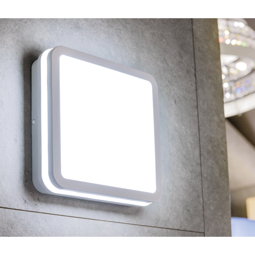 Plafonieră LED de exterior BENO LED/24/30W/230V 3000/3500/4000K IP65 alb pătrat