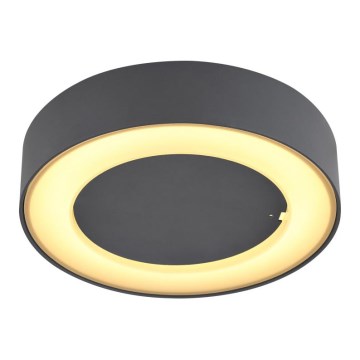 Plafonieră LED de exterior LED/12W/230V IP54 Globo