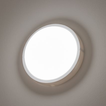 Plafonieră LED de exterior LED/13W/230V IP54 Brilagi