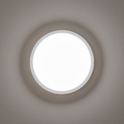 Plafonieră LED de exterior LED/13W/230V IP54 Brilagi