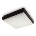 Plafonieră LED de exterior LED2 QUADO LED/10W/230V antracit IP54