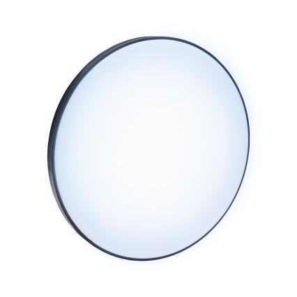 Plafonieră LED de exterior NYMPHEA LED/32W/230V IP54 6000K