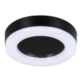 Plafonieră LED de exterior TURA LED/15W/230V 4000K IP65 negru
