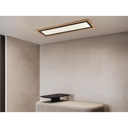 Plafonieră LED dimabilă 55W/230V 3000-6500K cu telecomandă
