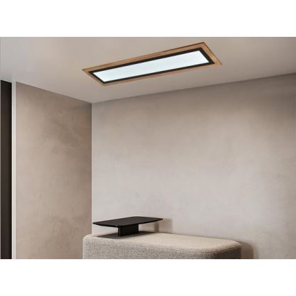 Plafonieră LED dimabilă 55W/230V 3000-6500K cu telecomandă