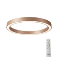 Plafonieră LED dimabilă Azzardo AZ5033 MARCO LED/50W/230V auriu + telecomandă