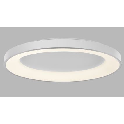 Plafonieră LED dimabilă BELLA LED/80W/230V 3000K/4000K alb LED2