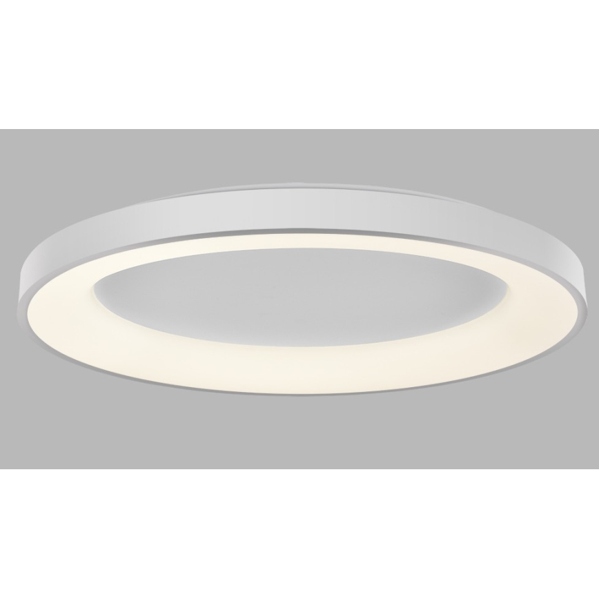 Plafonieră LED dimabilă BELLA LED/80W/230V 3000K/4000K alb LED2