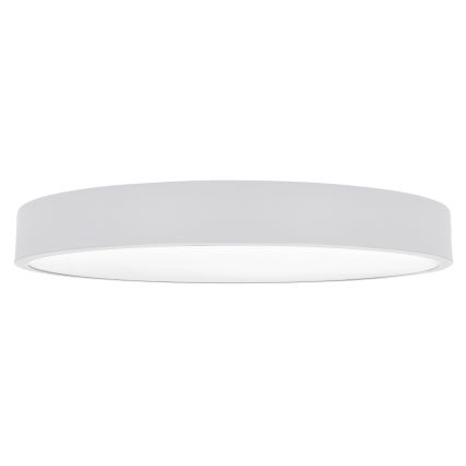 Plafonieră LED dimabilă Brilagi POOL SMART LED/60W/230V 3000-6000K 50 cm + telecomandă