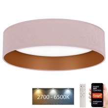 Plafonieră LED dimabilă Brilagi VELVET SMART LED/24W/230V d. 45 cm 2700-6500K Wi-Fi Tuya roz/auriu + telecomandă