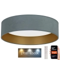 Plafonieră LED dimabilă Brilagi VELVET SMART LED/36W/230V d. 55 cm 2700-6500K Wi-Fi Tuya verde-mentă/auriu + telecomandă