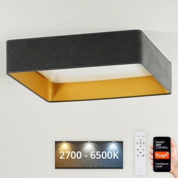 Plafonieră LED dimabilă Brilagi VELVET SQUARE SMART LED/36W/230V 2700-6500K Wi-Fi Tuya gri + telecomandă
