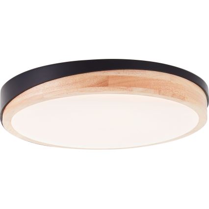 Plafonieră LED dimabilă Brilliant BAARLO LED/24W/230V d. 35 cm negru/ficus de cauciuc