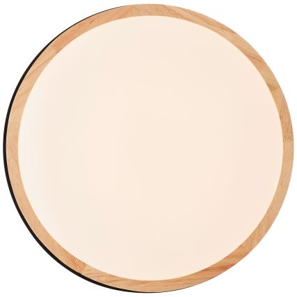 Plafonieră LED dimabilă Brilliant BAARLO LED/24W/230V d. 35 cm negru/ficus de cauciuc