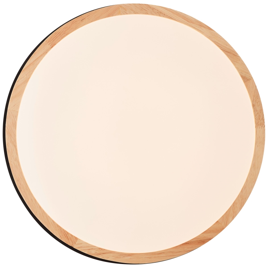 Plafonieră LED dimabilă Brilliant BAARLO LED/24W/230V d. 35 cm negru/ficus de cauciuc