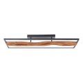 Plafonieră LED dimabilă Brilliant CHAUMONT LED/48W/230V ficus de cauciuc