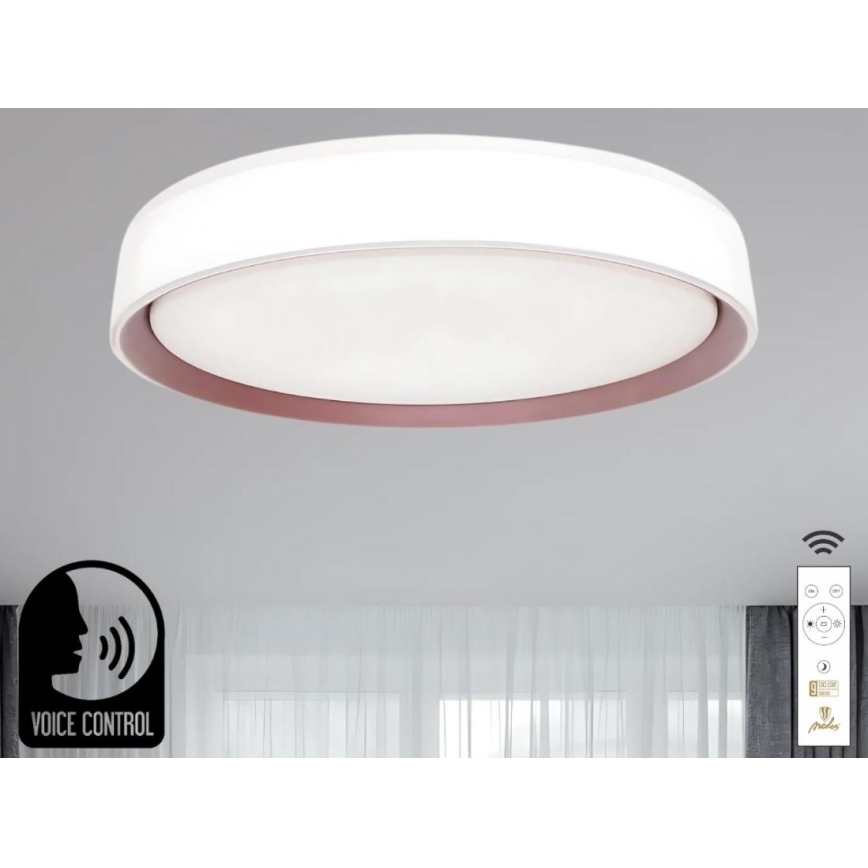 Plafonieră LED dimabilă cu control vocal OPAL LED/48W/230V 2700-6500K alb + telecomandă