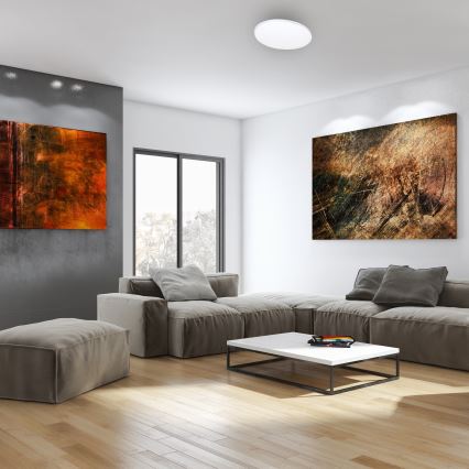 Plafonieră LED dimabilă cu telecomandă SIENA LED/25W/230V