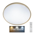 Plafonieră LED dimabilă DRINA LED/36W/230V 2700-6500K d. 50 cm + telecomandă