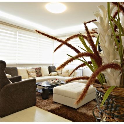 Plafonieră LED dimabilă DIAMANT LED/50W/230V + telecomandă