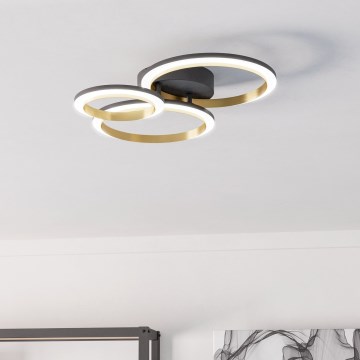 Plafonieră LED dimabilă Eglo LED/20W/230V 4000K negru/auriu