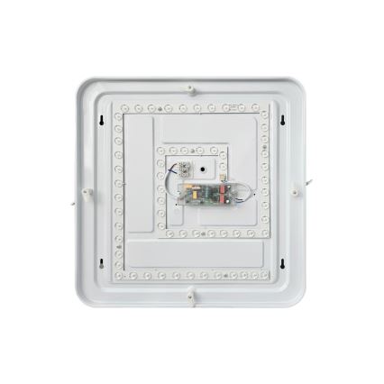 Plafonieră LED dimabilă FLORA LED/36W/230V 2700-6500K 43x43 cm + telecomandă
