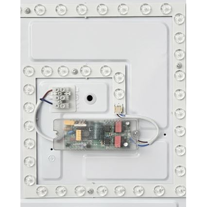 Plafonieră LED dimabilă FLORA LED/36W/230V 2700-6500K 43x43 cm + telecomandă