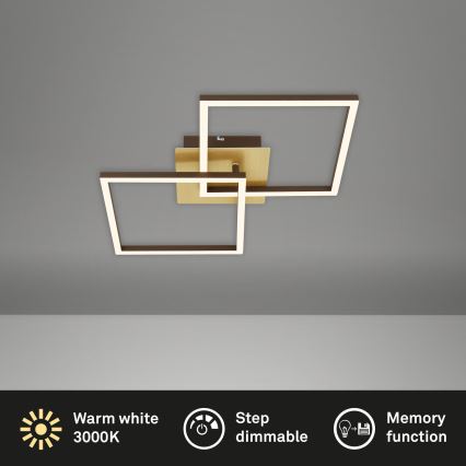 Plafonieră LED dimabilă FRAME 2xLED/11W/230V auriu Briloner 3210-017