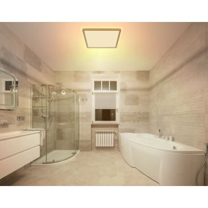 Plafonieră LED dimabilă pentru baie Globo LED/24W/230V 3000K IP44 42x42 cm alamă