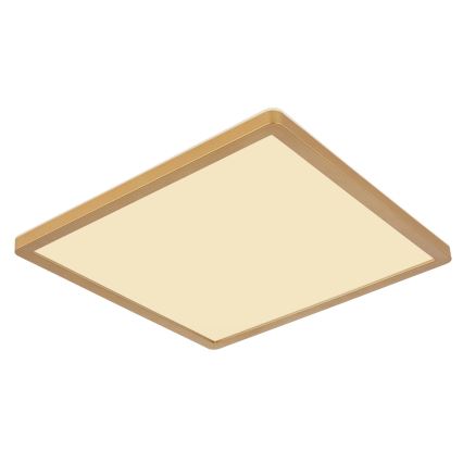 Plafonieră LED dimabilă pentru baie Globo LED/24W/230V 3000K IP44 42x42 cm alamă