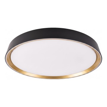 Plafonieră LED dimabilă ILVI LED/45W/230V 2700-6500K diam. 50 cm negru/bej + telecomandă