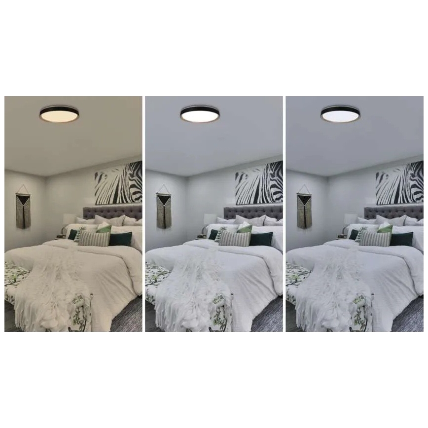 Plafonieră LED dimabilă ILVI LED/45W/230V 2700-6500K diam. 50 cm negru/bej + telecomandă