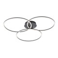 Plafonieră LED dimabilă IVANKA 3xLED/12W/230V Leuchten Direkt 14539-18