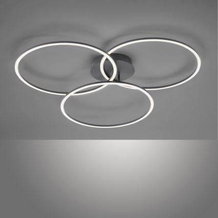 Plafonieră LED dimabilă IVANKA 3xLED/12W/230V Leuchten Direkt 14539-18