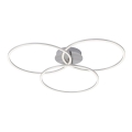 Plafonieră LED dimabilă IVANKA 3xLED/12W/230V Leuchten Direkt 14539-55