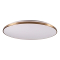 Plafonieră LED dimabilă KERN, 80 W, 230 V, 3000/4000/6000K, diametru 80 cm, aurie, cu telecomandă