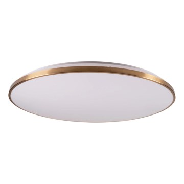 Plafonieră LED dimabilă KERN, 80 W, 230 V, 3000/4000/6000K, diametru 80 cm, aurie, cu telecomandă