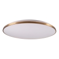 Plafonieră LED dimabilă KERN LED/100W/230V 3000/4000/6000K Ø 100 cm aurie + telecomandă
