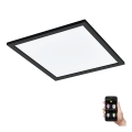 Plafonieră LED dimabilă LED/21,5W/230V negru ZigBee Eglo