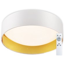 Plafonieră LED dimabilă LED/24W/230V albă Top Light + telecomandă