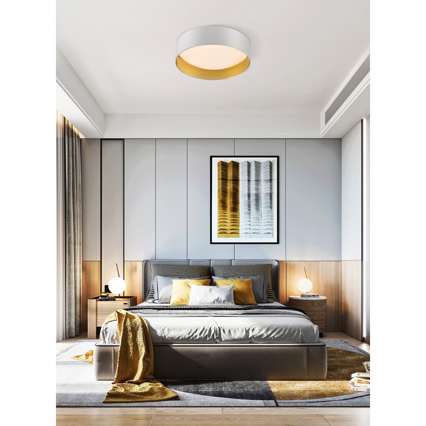 Plafonieră LED dimabilă IVONA 40B RC LED/24W/230V albă Top Light + telecomandă